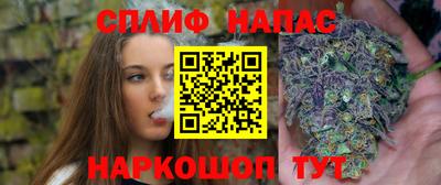 дмт Дмитров