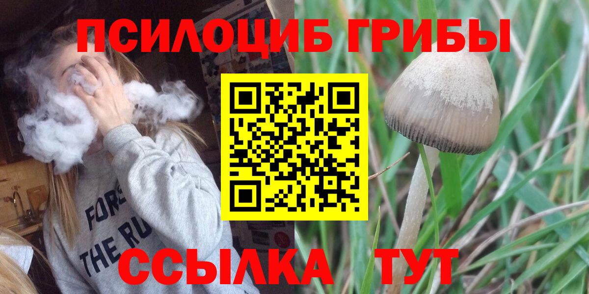 Псилоцибиновые грибы MAGIC MUSHROOMS Вольск